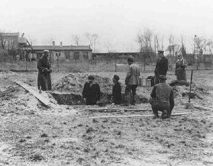 Prisoners at forced labor under SS and police guard in the Oranienburg concentration camp.